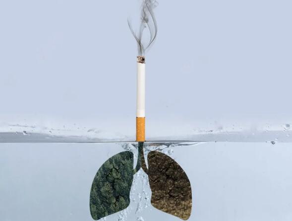 �����к�